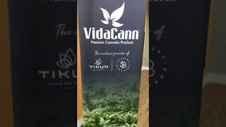 Vida Cann