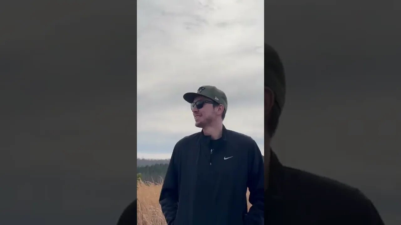 Medium hedgehog sees the property from first time￼