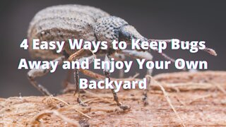 4 Common Sense Ways to Keep Bugs Away and Enjoy Your Backyard