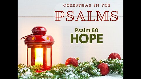 Psalm 80 and the Good Shepherd: Embracing God's Promises of Hope