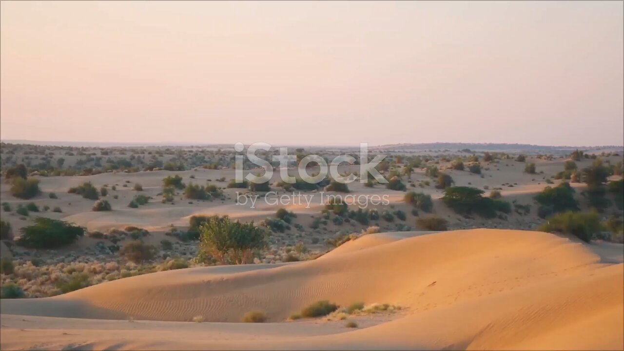 Thar desert