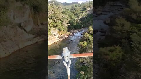 Bridge across Karangahape Gorge