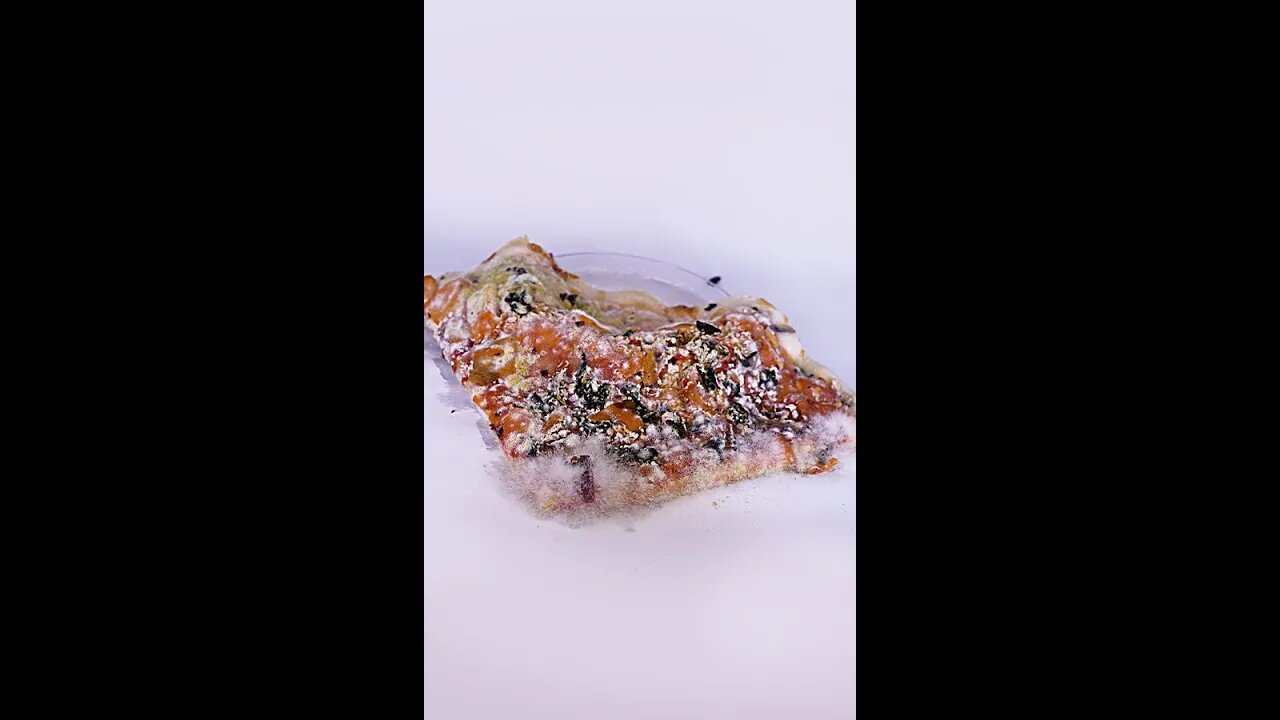 Rotting PIZZA Timelapse