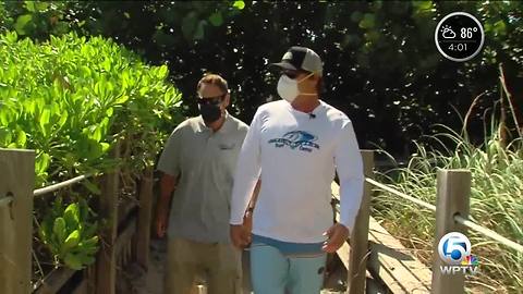 Searching the beach for marine life