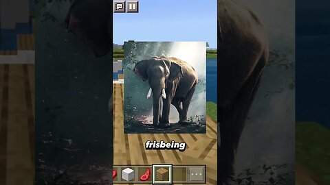 Elephant Frisbee Bricks