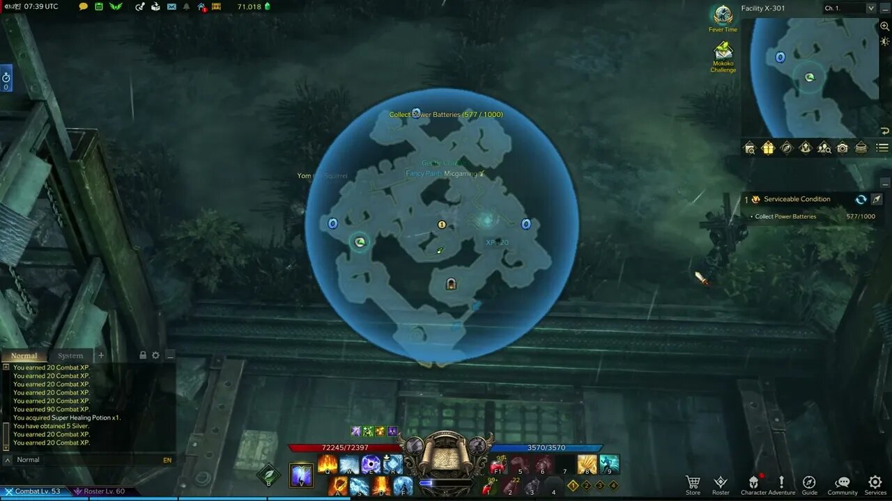 Lost Ark MMORPG Serviceable Condition