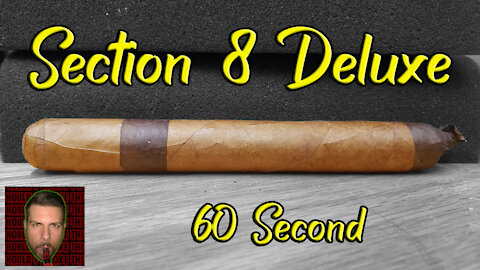 60 SECOND CIGAR REVIEW - Section 8 Deluxe - Should I Smoke This