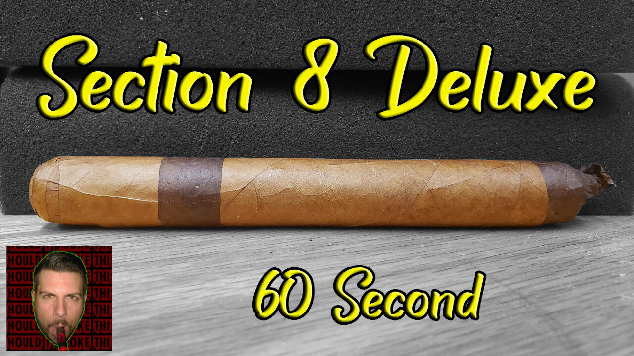 60 SECOND CIGAR REVIEW - Section 8 Deluxe - Should I Smoke This