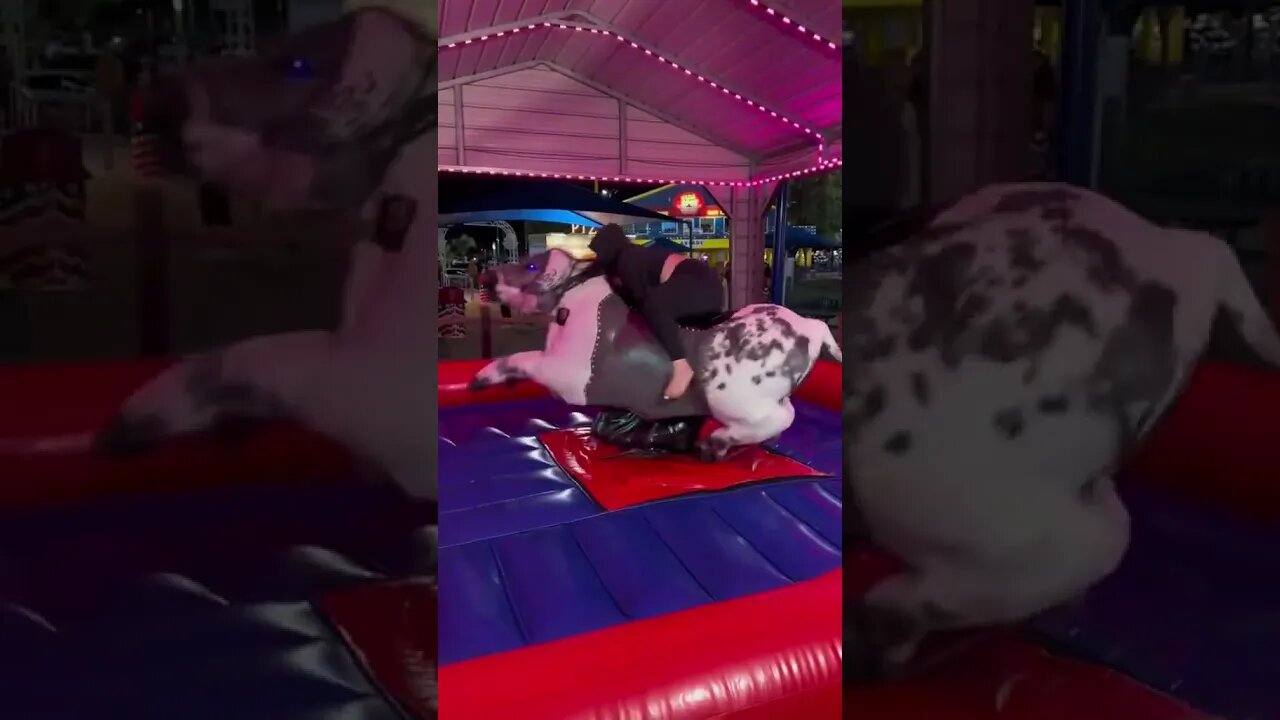 Cow Rides the bull!