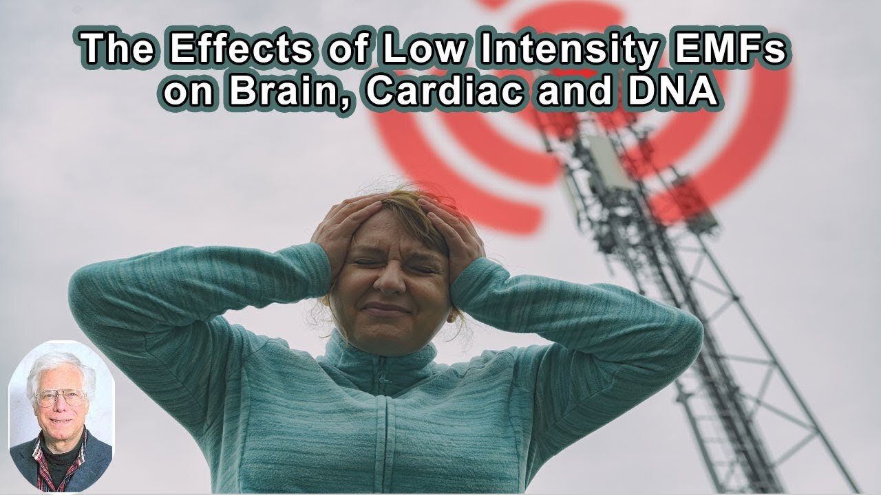 Martin Pall: Low Intensity EMFs Produce 5 Distinct Brain Effects