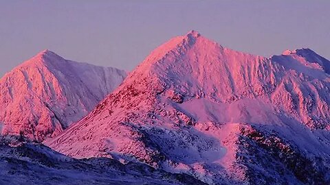 Nature's Tapestry Brushstrokes of Beauty