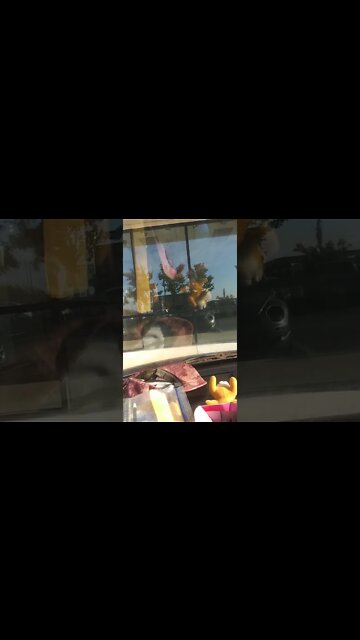 DELPHI QUESTIONS? JUDGE RECUSES HIMSELF