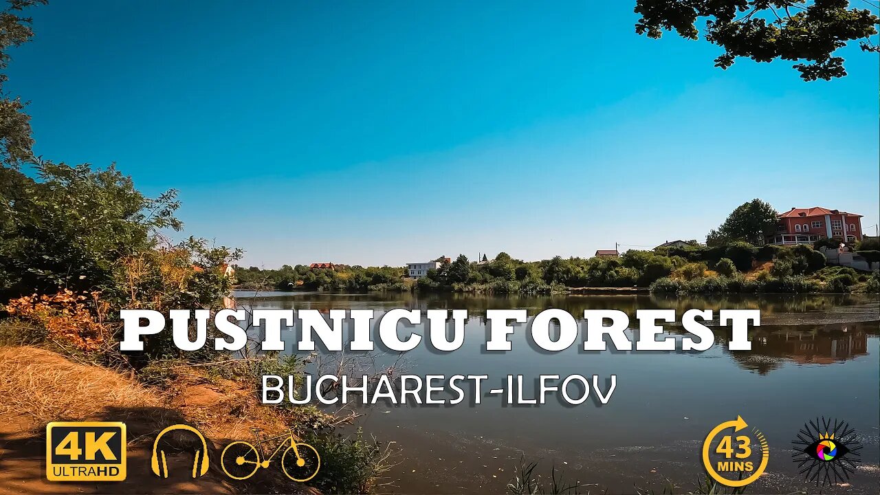 PUSTNICU Forest, Bucharest - Ilfov | Classical piano music | 4k Virtual Tour | 🇷🇴