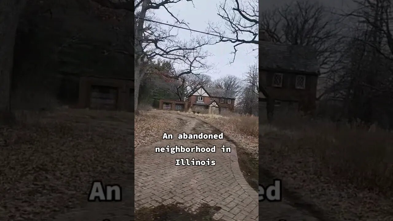 why this illinois neighborhood went abandoned
