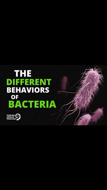 The Different Behaviors of Bacteria #shorts