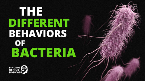 The Different Behaviors of Bacteria #shorts