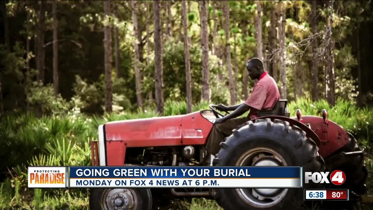 Eco friendly burial options for the envrionment