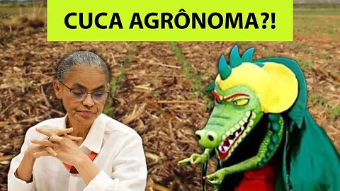 Era pra rir?! Marina classifica o agronegócio como “ogronegócio”