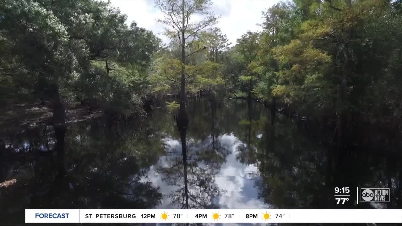 Walking Club: Exploring Withlacoochee River Park