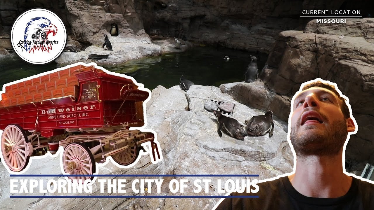 Exploring The City Of St Louis