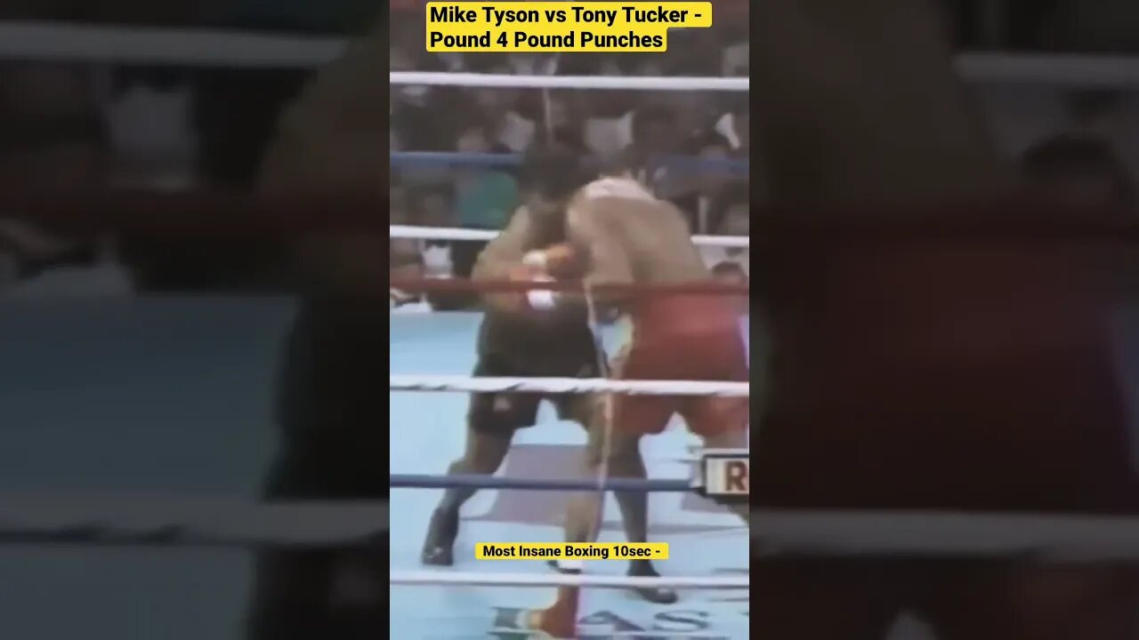 Mike Tyson vs Tony Tucker - Pound for Pound Punches #shorts #boxing #gym