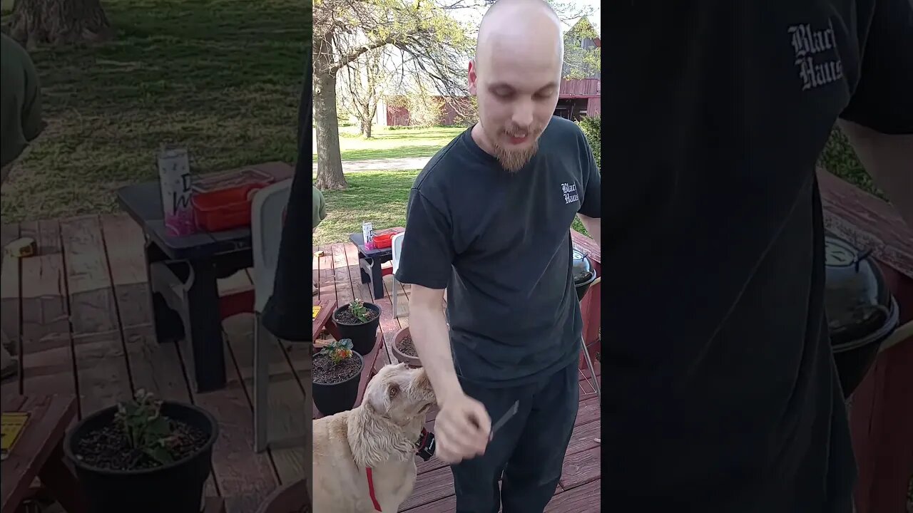The funny farm sent him back.