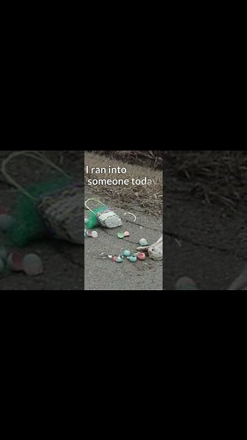 Poor Easter Bunny #Shorts 😯