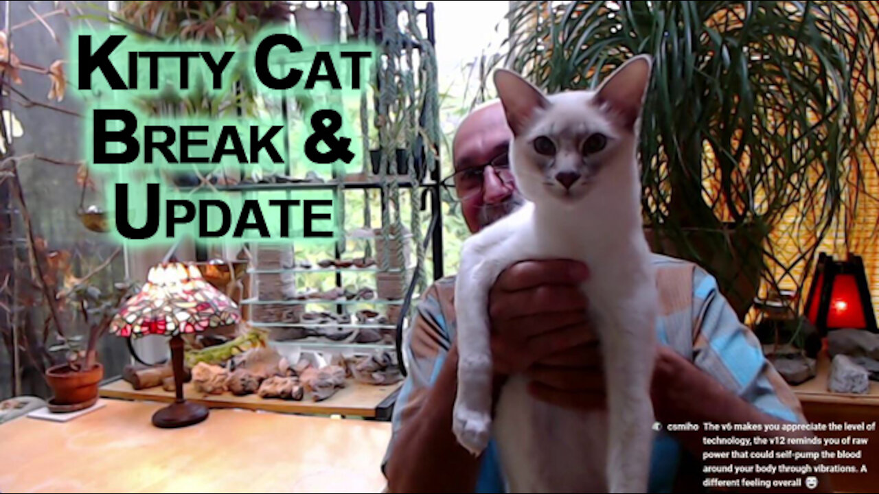 Kitty Cat Break & Update: What to Do with Grapes, F1 Grand Prix Racing & Faith & Morality [ASMR]