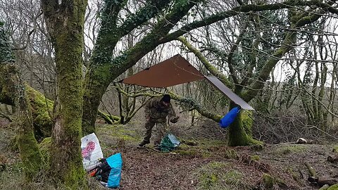 Taking off the guy ropes Reddacleave campsite. Dartmoor 26th March 2023