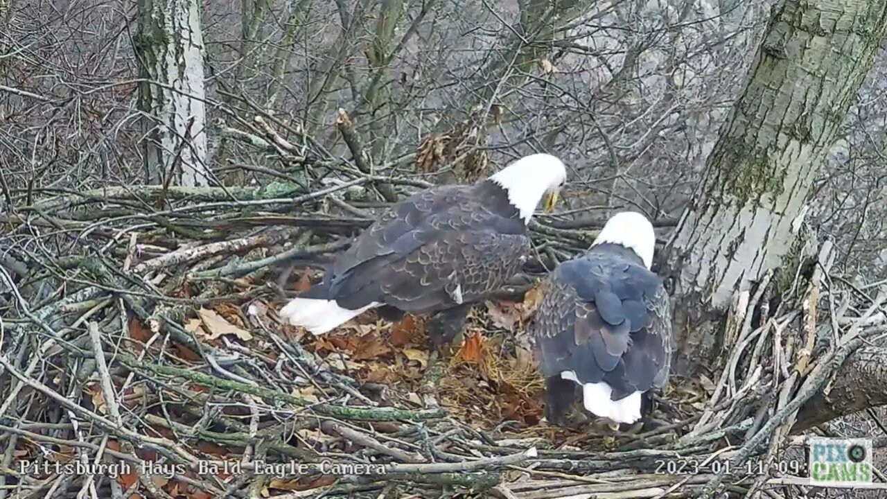 Hays Eagles Dad brings Stick for Stick Wars 2023 01 11 8:59AM