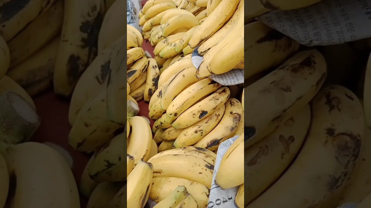 Banana Tour 😳 #shorts #shortsfeed