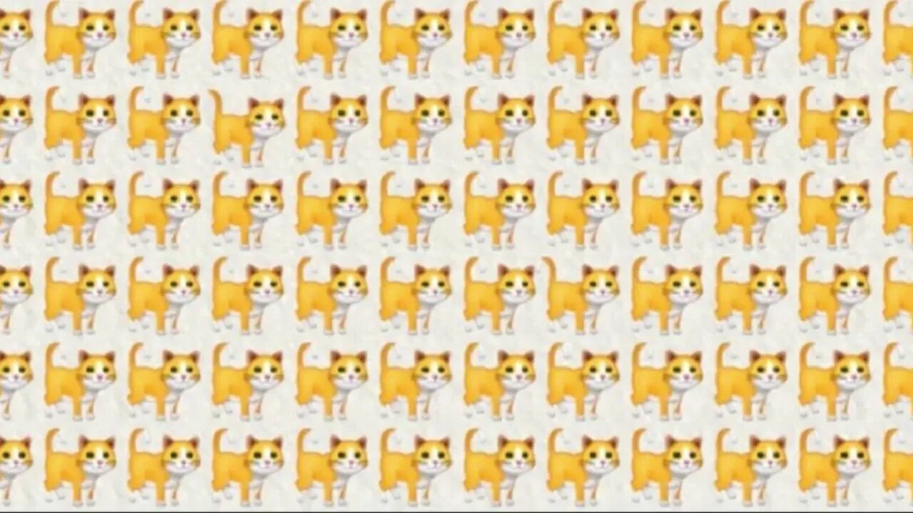 #Challenge# If you can find the 2 different cats in 30 seconds you are very smart.