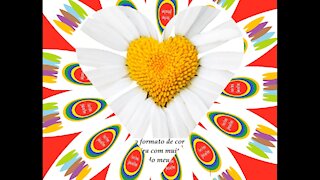 Te mando essa margarida no formato de coração, cheira com amor e paixão! [Frases e Poemas]