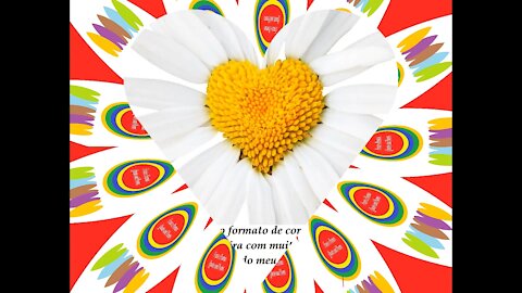 Te mando essa margarida no formato de coração, cheira com amor e paixão! [Frases e Poemas]