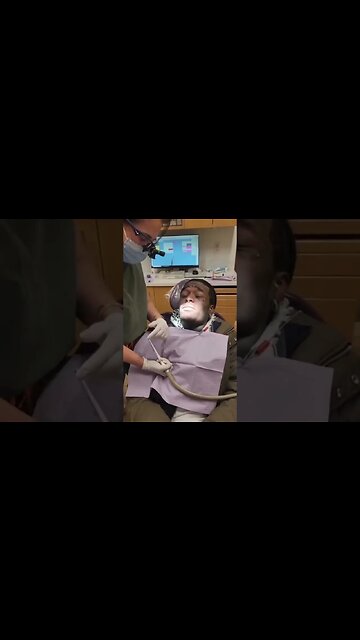 uzi falling in love with his orthodontist