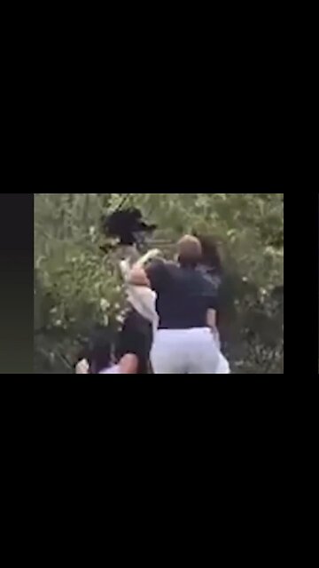 A Bunch Of Karens Are In Deep Doo-Doo After Removing Bear Cubs From Tree To Take Selfies