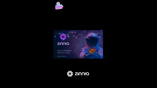 Building on Zinnia Network