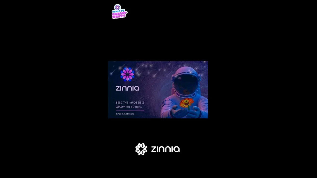 Building on Zinnia Network