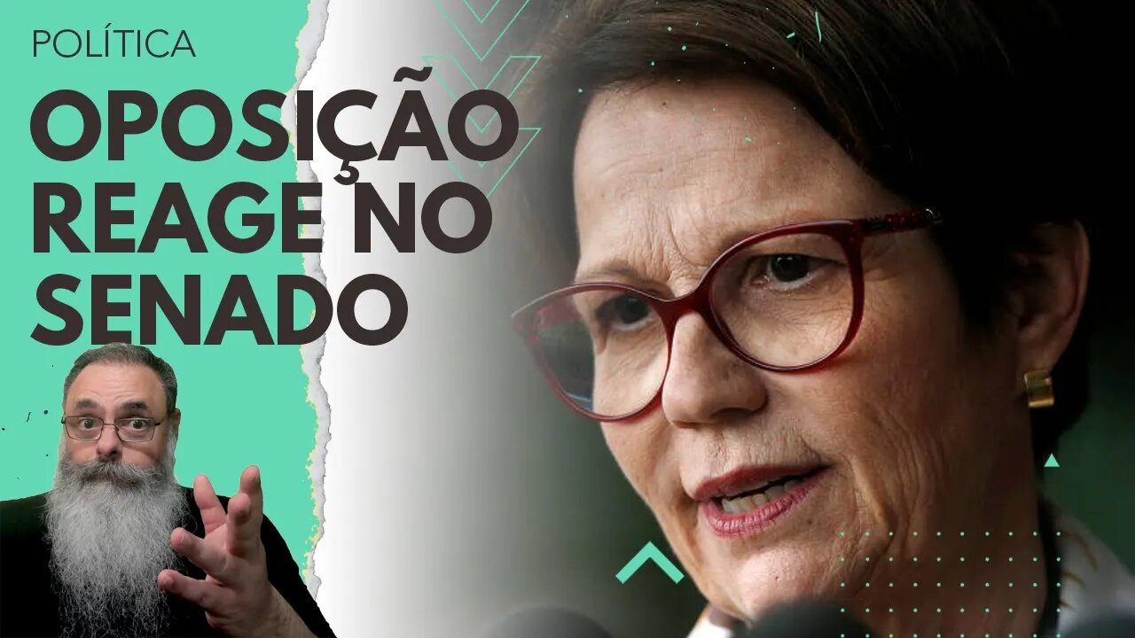 OPOSIÇÃO mostra FORÇA no SENADO e PRESSIONA MASCOTE do LULA para VOTAR MARCO TEMPORAL: SERÁ que VAI?