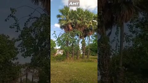 90s WhatsApp status amt Safar status