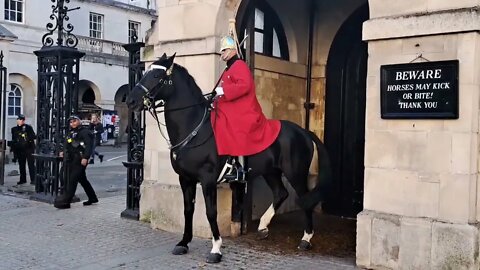 Kings guard horse slips falls guard stays mounted #horseguardsparade