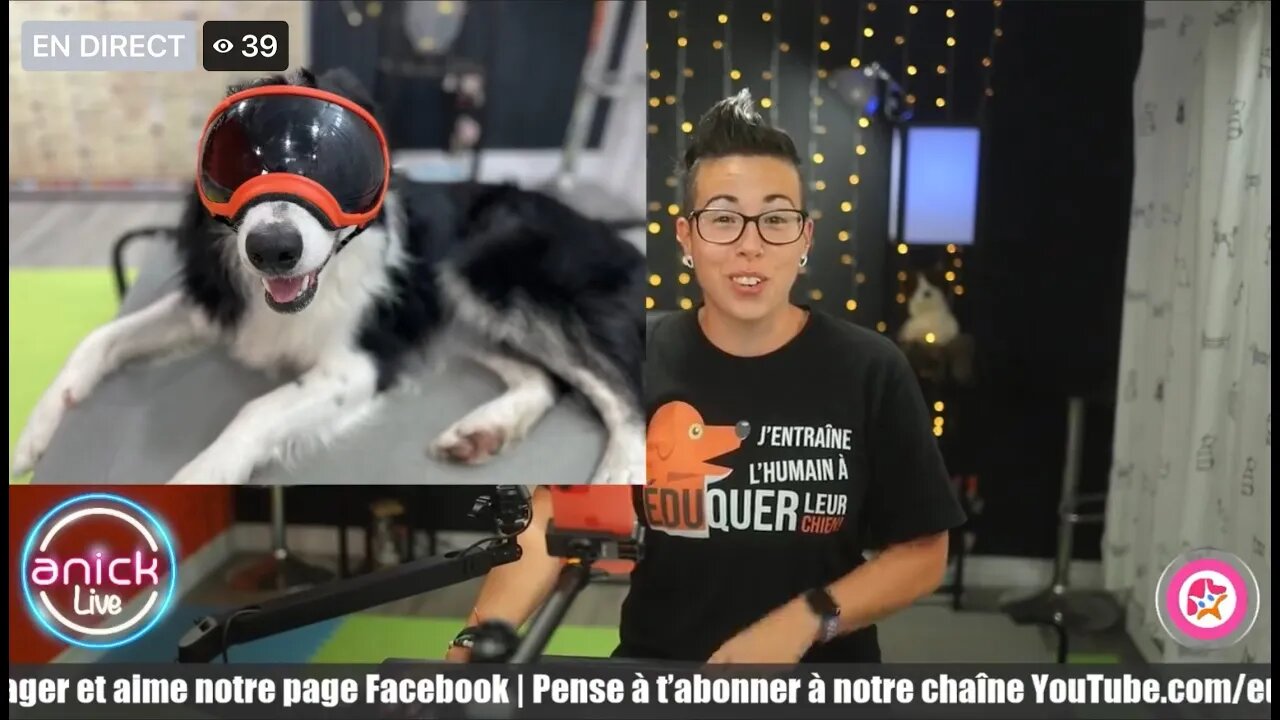 Mon chien me protège, que faire