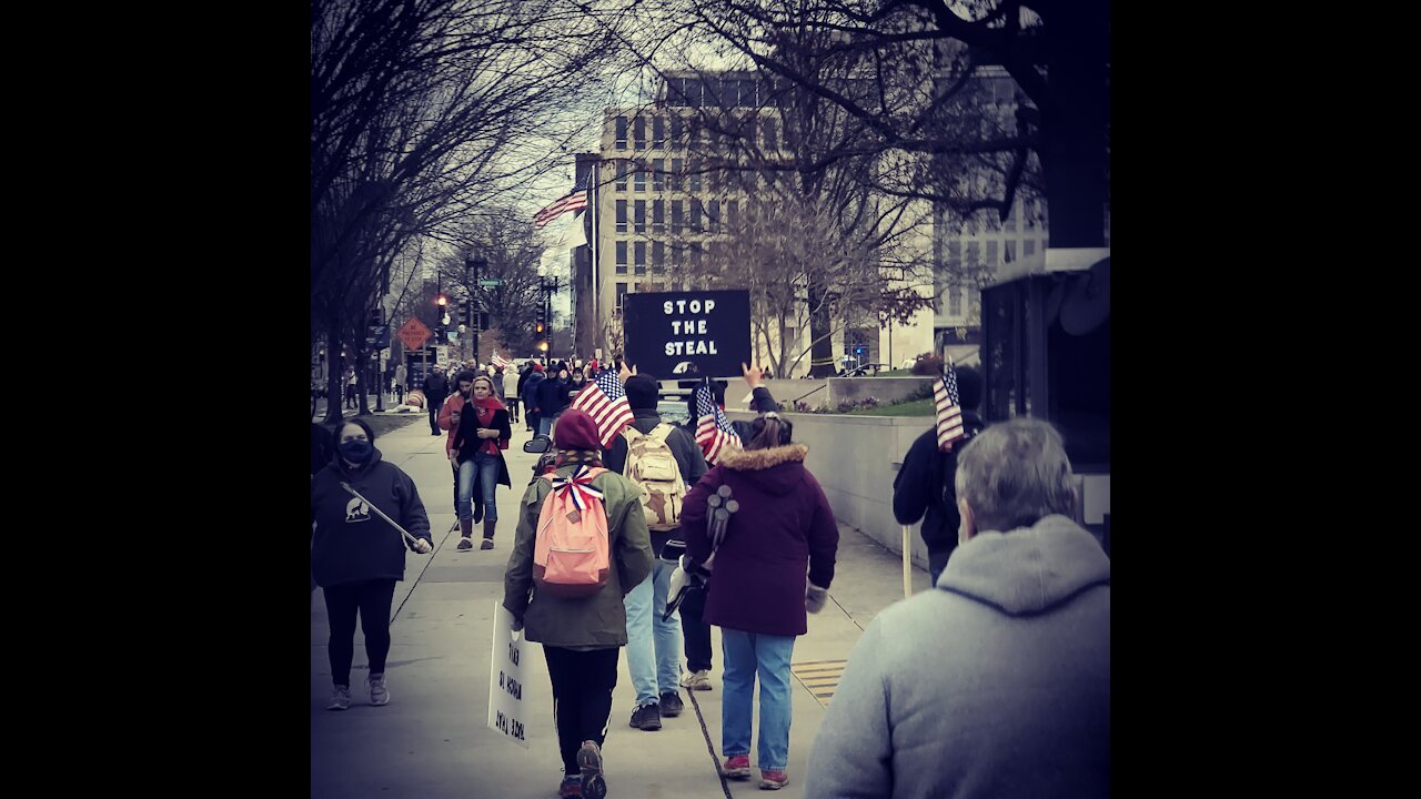 Uncle Sam at the Stop the steal rally