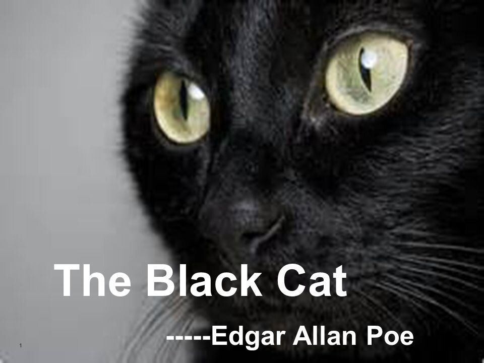CAT EDGAR