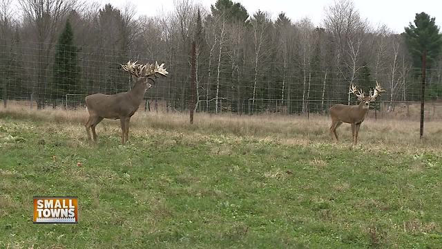 Small Towns: Whitetail preserve offers different hunting experience