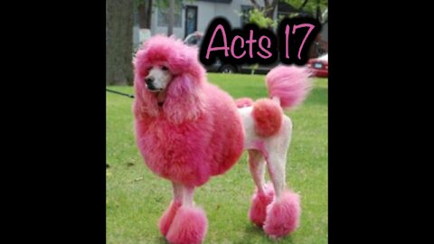 Read the Bible with me. Acts 17