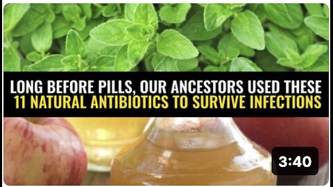 Long before pills, our ancestors used these 11 natural antibiotics to survive infections