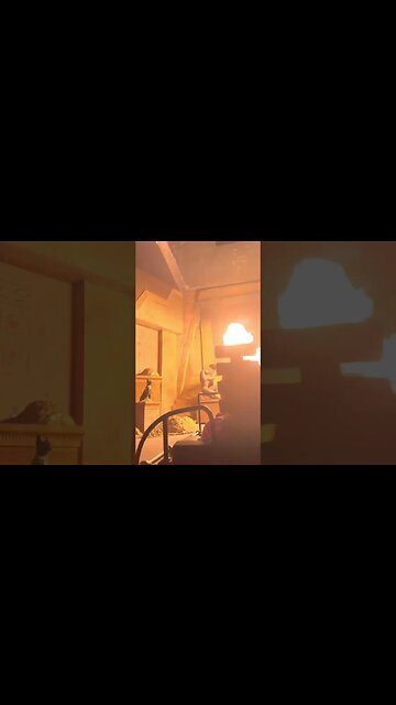 Revenge of the Mummy ride 🧟‍♂️🎢 #UniversalStudios