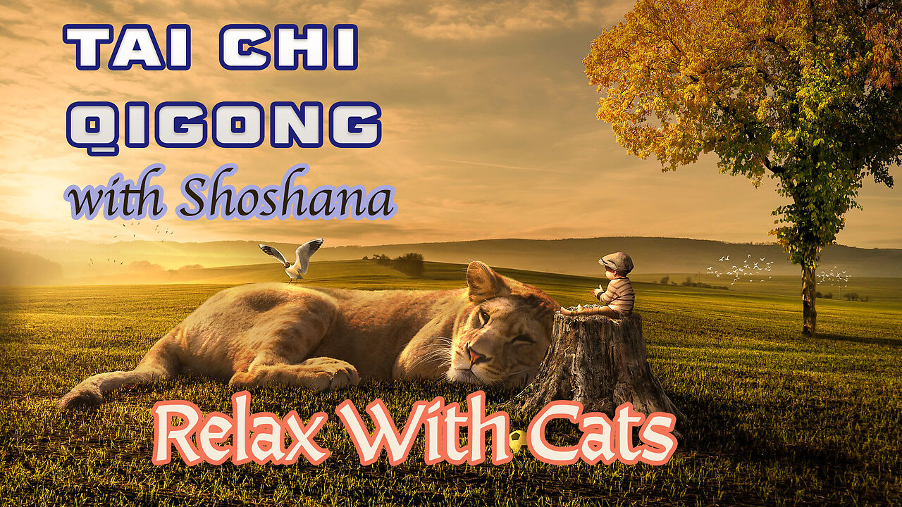 Tai Chi Qigong With Shoshana - Relax With Cats