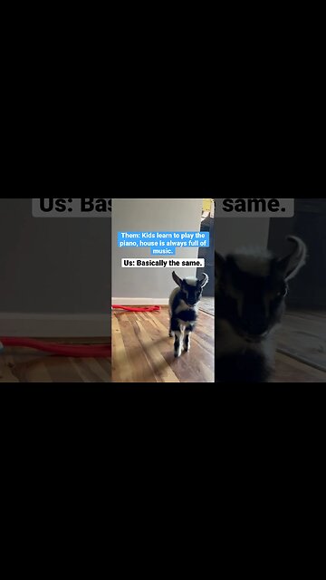 It’s Basically the Same Thing #shorts